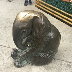 Statue of Baby Elephant