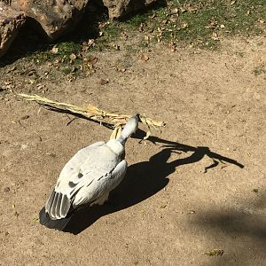 What are you doing with that stalk?