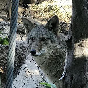 The Face of Confusion