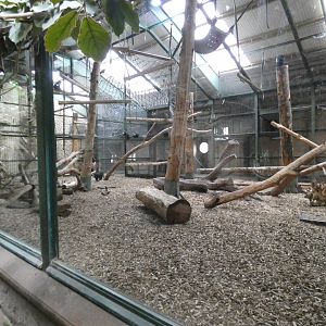 Lion-tailed macaque indoor enclosure