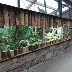 Former Tuatara enclosure
