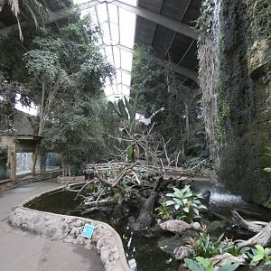 View from Tropical realm entrance