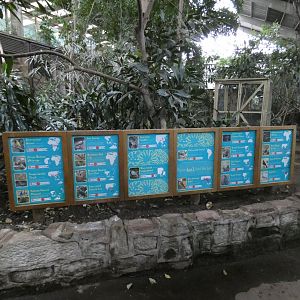 Free-flying bird species in Tropical Realm