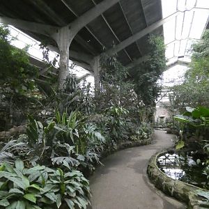 View across Tropical Realm