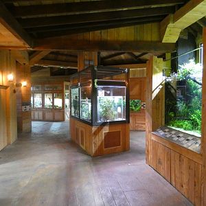 View of Orang-utan viewing area in Monsoon Forest