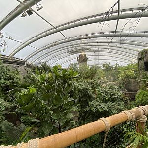 Monsoon Forest 181021