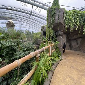 Monsoon Forest 181021