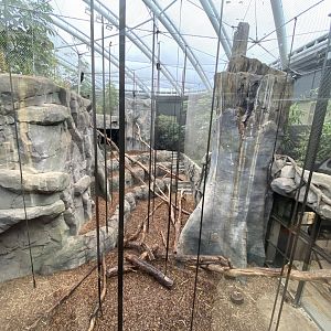 Monsoon Forest 181021