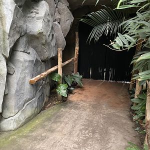 Monsoon Forest - entrance to False gharial exhibit 181021