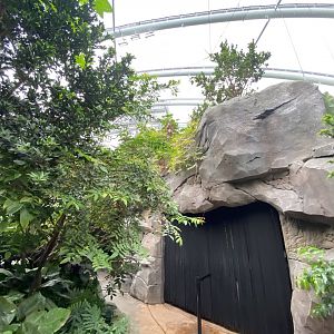 Monsoon Forest 181021