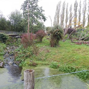 Spectacled bear exhibit 181021