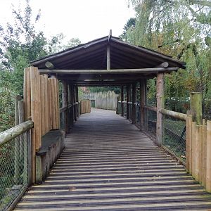 Bridge between areas 181021