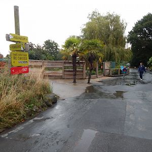 View towards Giant otter exhibit 181021