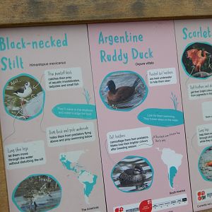 Latin American Wetland Aviary signage 181021