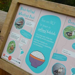 Latin American Wetland Aviary signage 181021