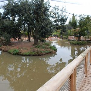 Latin American Wetland Aviary 181021