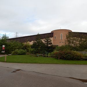 Spirit of the Jaguar 181021