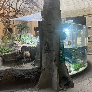 Spirit of the Jaguar 181021