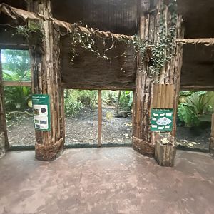 Spirit of the Jaguar - Jaguar exhibit 181021