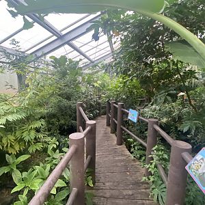 Butterfly Journey 181021