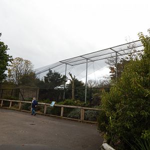 Edge of Europe Aviary 181021