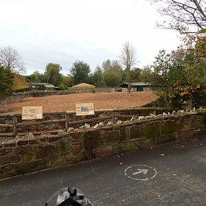 Persian onager and Bactrian camel enclosure 181021