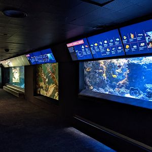 North Atlantic to the Pacific