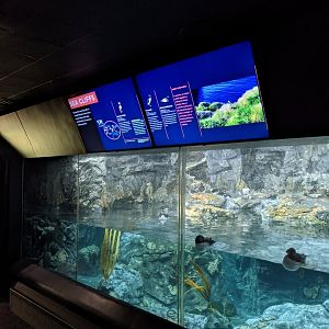 Sea Cliffs - North Atlantic to the Pacific