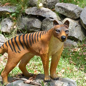 Thylacine Model