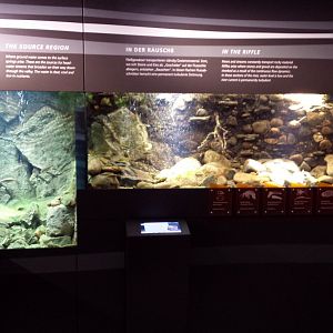 Aquarium at Museum Koenig Bonn