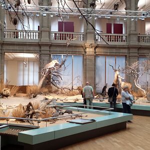Museum Koenig Bonn - Africa Panorama