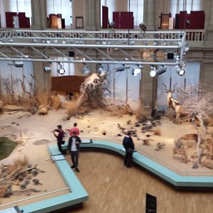 Museum Koenig Bonn - Africa Panorama, Another view