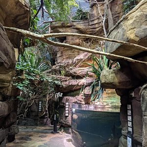 Australia: Wild Extremes