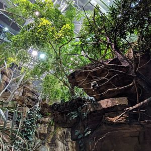 Australia: Wild Extremes