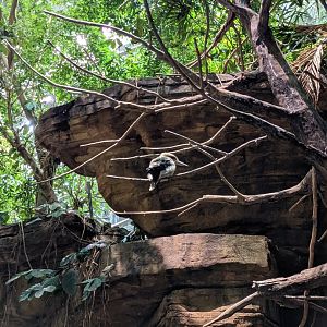 Australia: Wild Extremes