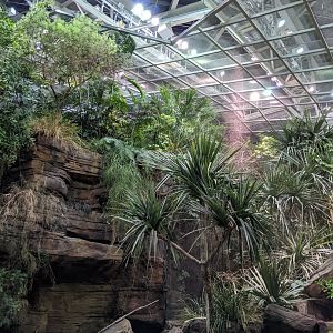 Australia: Wild Extremes