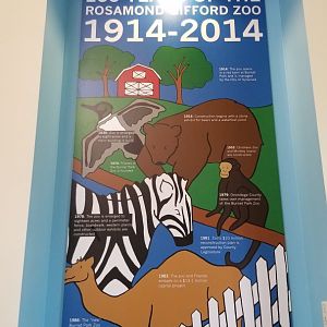 Rosamond Gifford - 100 years murals