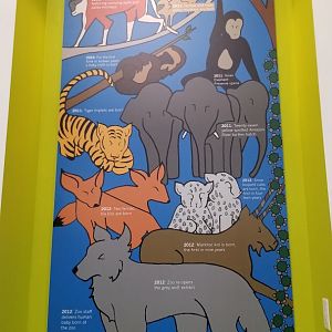 Rosamond Gifford - 100 years murals