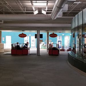 Rosamond Gifford - Looking back at entrance