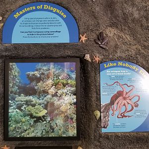 Rosamond Gifford - Octopus signage