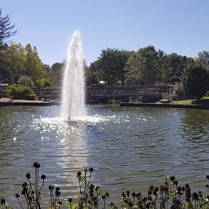 Rosamond Gifford - Pond