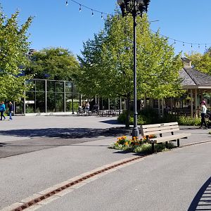 Rosamond Gifford - Sitting area, komodo dragon exhibit behind the glass