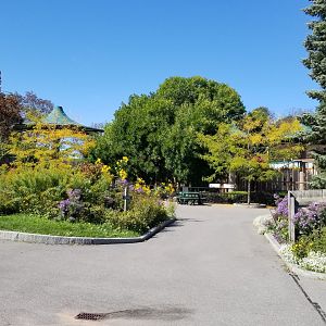 Rosamond Gifford - Flowers on way to barn
