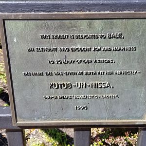 Rosamond Gifford - Former elephant exhibit