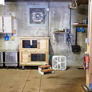 Rosamond Gifford - Inside barn