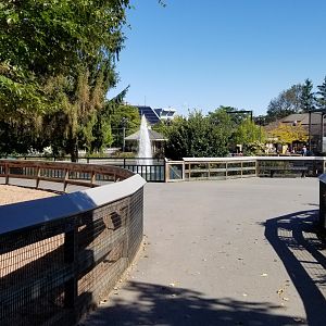 Rosamond Gifford - View of pond from barn exit