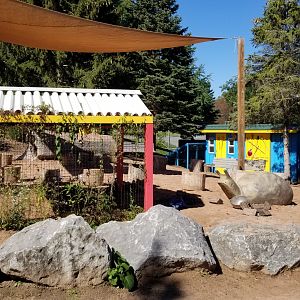 Rosamond Gifford - Explorer Outpost