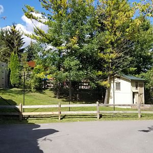 Rosamond Gifford - Blue crane exhibit