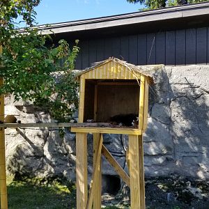 Rosamond Gifford - Red panda