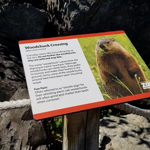 Rosamond Gifford - Sign about wild groundhogs